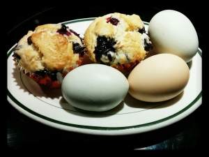 Blueberry muffins and boiled eggs - desk breakfast of champions!